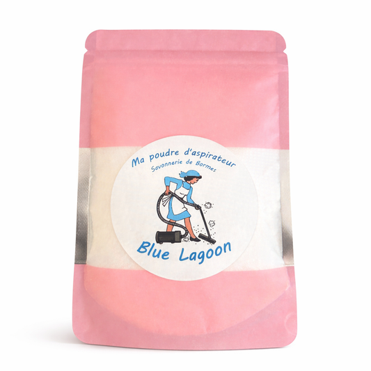 POUDRE ASPIRATEUR ARTISANAL 100GR